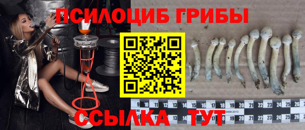 Псилоцибиновые грибы Magic Shrooms Нефтекумск