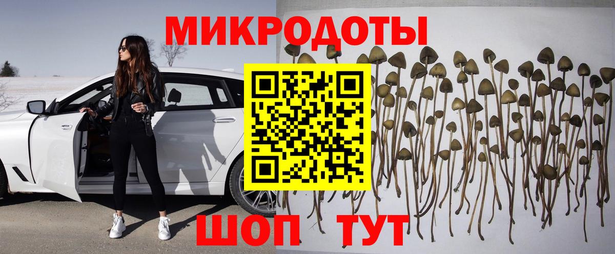 где найти   Галлюциногенные грибы ЛСД  Вход с VPN  Нефтекумск  Псилоцибиновые грибы ЛСД 